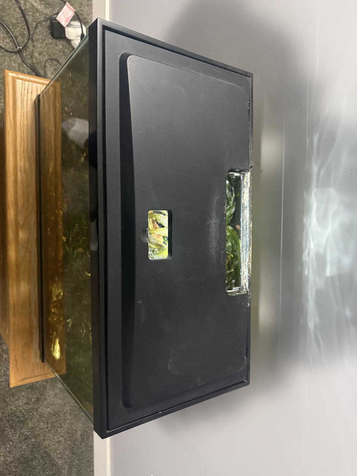 10 Gallons Planted Aquarium