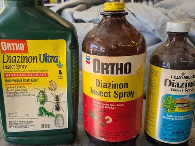 Diazinon insect spray BEST INSECTICIDE