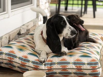 Dog Bed- Pendleton All Season Pet Napper
