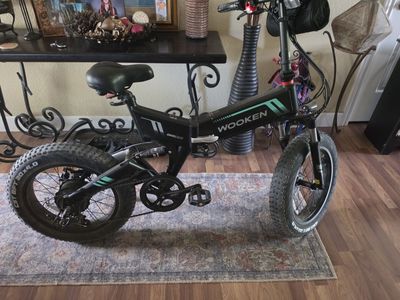 Folding Ebike