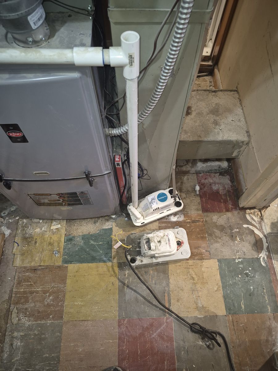 Main image 5