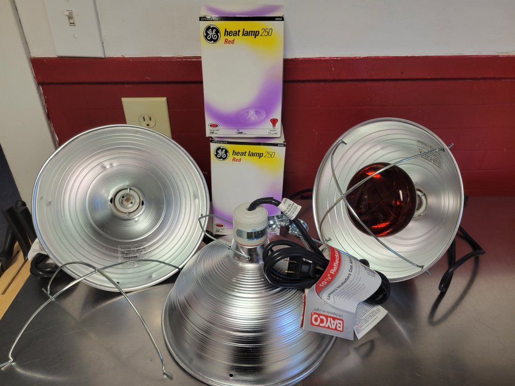 Heat Lamps