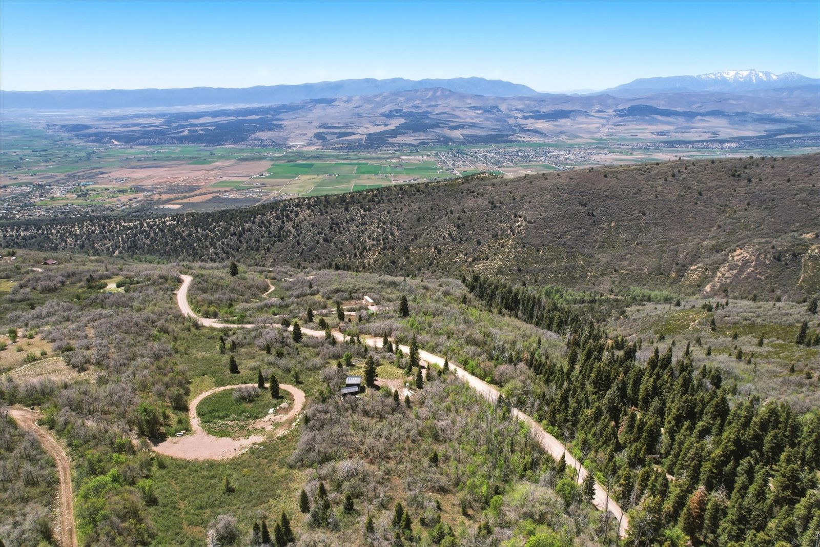 Main image 7