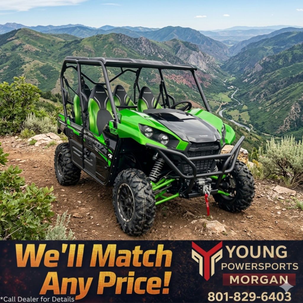 2025 Kawasaki Teryx4™ S SE
