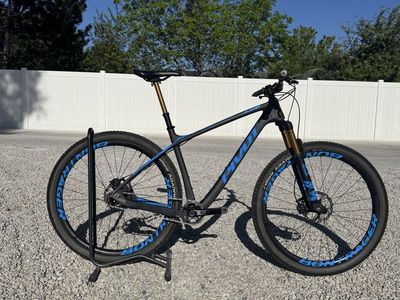 2021 Pivot Les Single Speed - Large