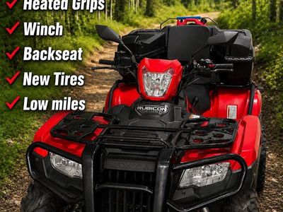 2020 Honda Rubicon TRX520 FA6 - Street Legal, Heated Grips, Winch, Backseat, New Tires, Low Miles