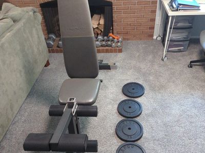 ProForm Adjustable Weight Bench with Leg Developer and BFCO Weight Plates