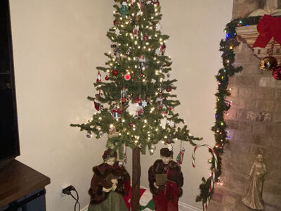 7 ft Slim White Light Pre-Lit Trees - New