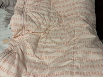 Pink Ballerina Slipper Beddy Toddler bedding