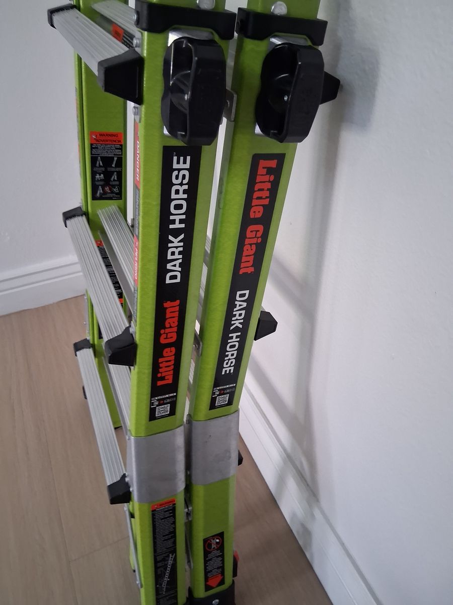 LITTLE GIANT DARK HORSE