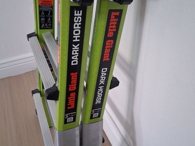 LITTLE GIANT DARK HORSE