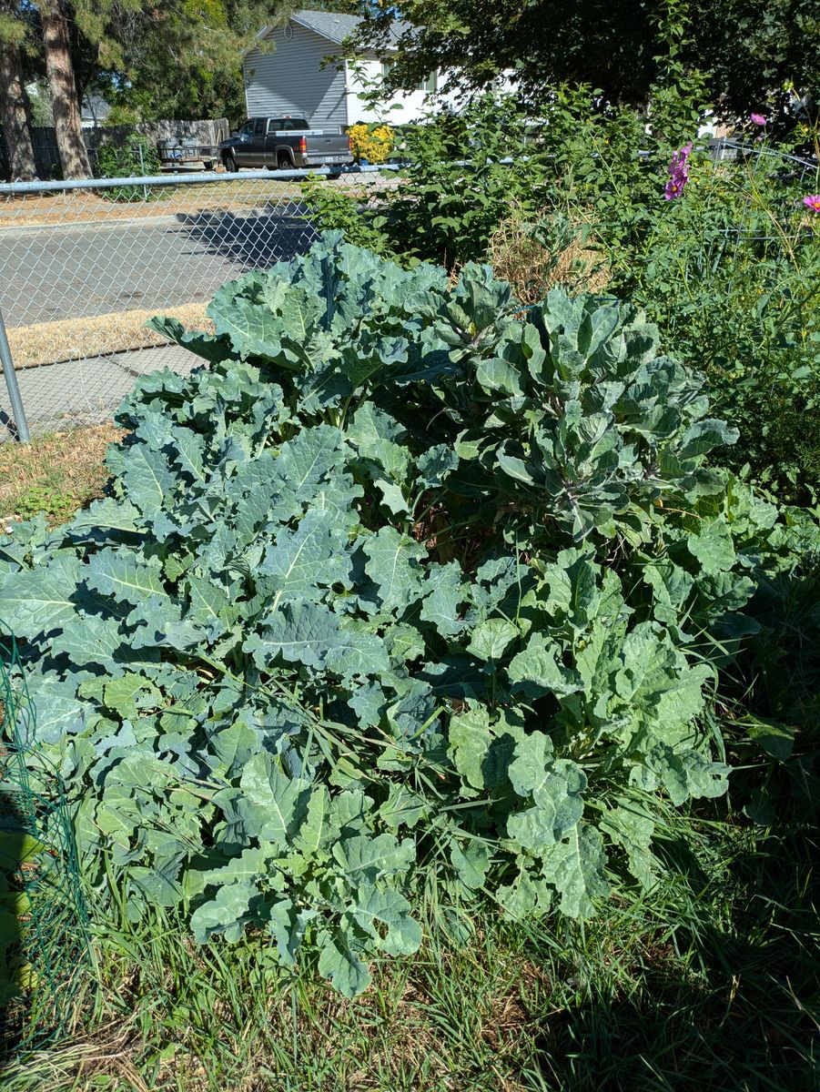 Main image 3