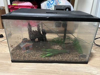 10 Gallon Fish Aquarium and Supplies