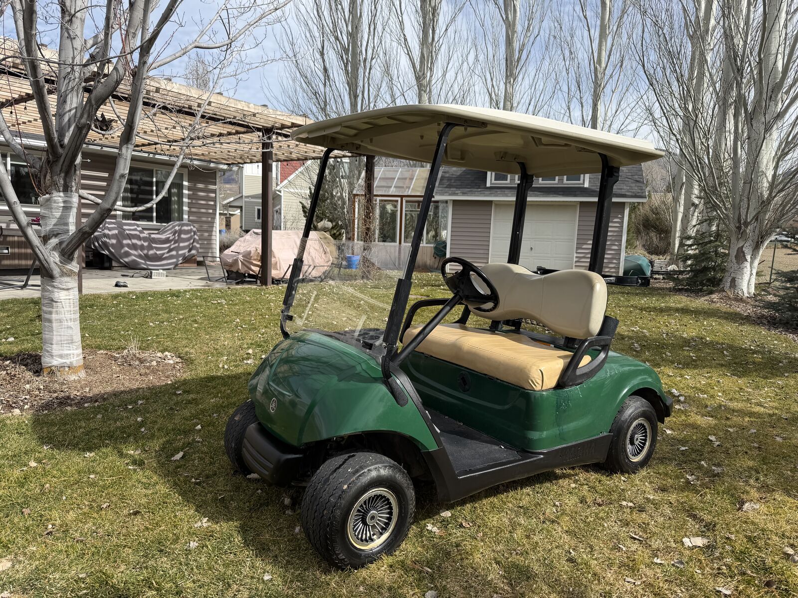 2007 Yamaha YDRE Golf Cart