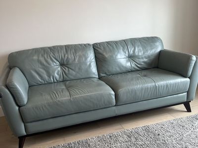 Beautiful Sofa