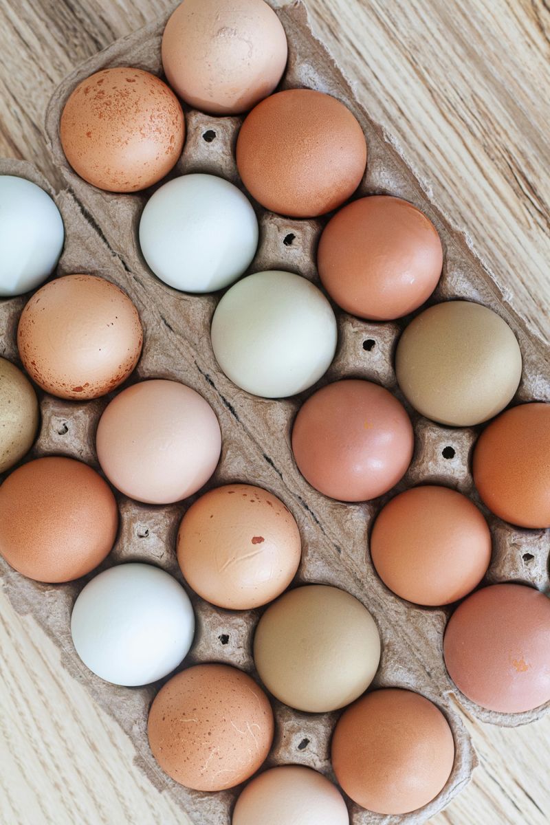 🥚 Fresh Backyard Eggs  ($5 w/ Carton exchange)