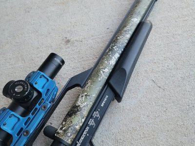 25. cal Air Rifle