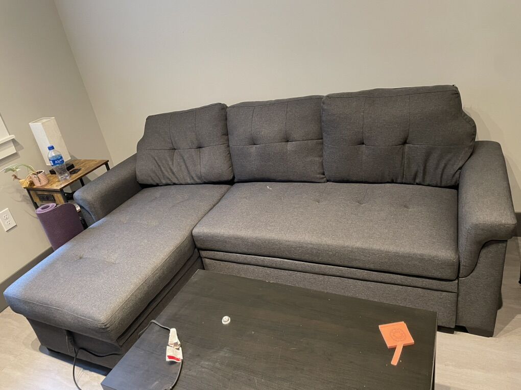 Pull Out Sleeper Sofa/couch