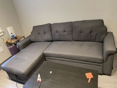 Pull Out Sleeper Sofa/couch