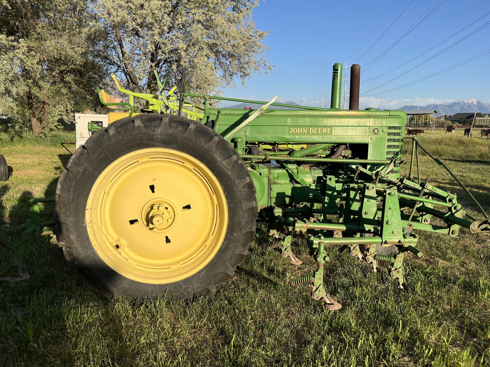 Main image 6