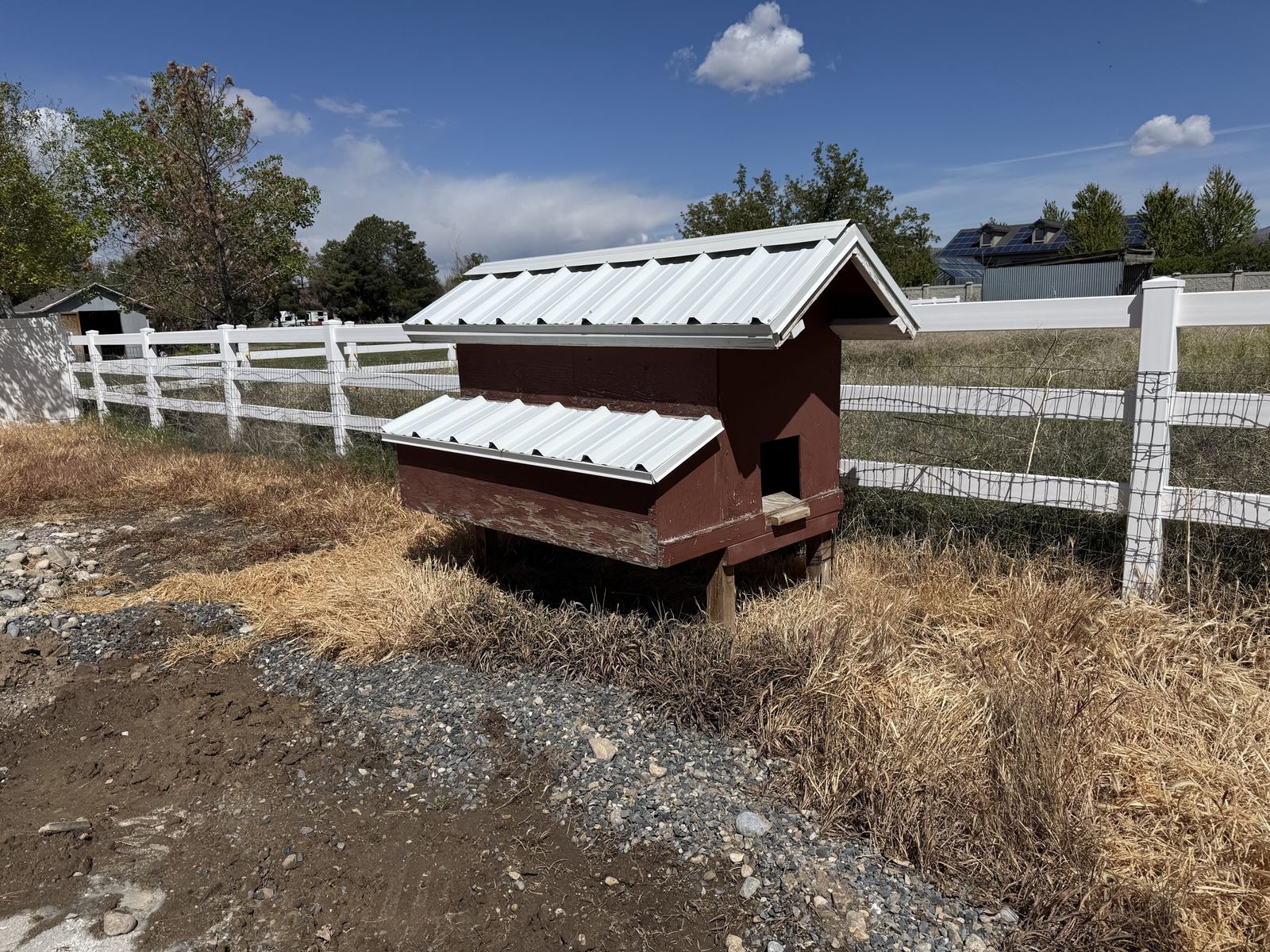 Chicken Coop