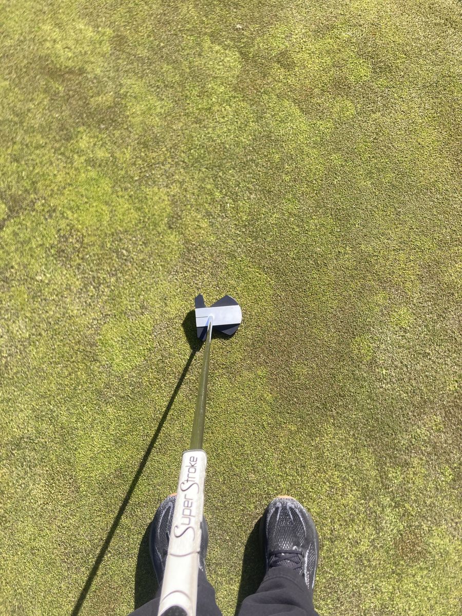 Odyssey Putter Square Two Square Max Stripe