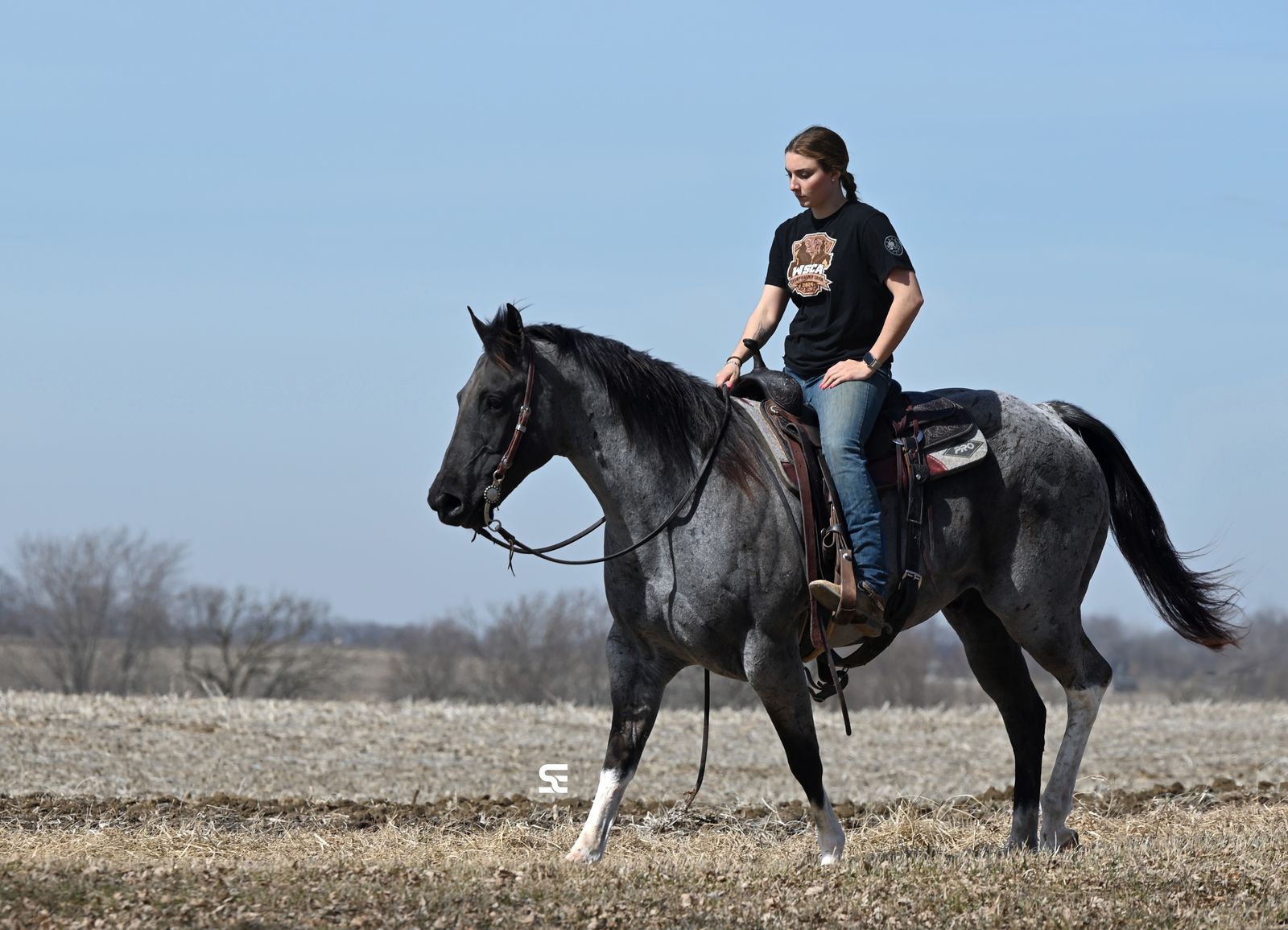 "𝙅𝙖𝙭"  𝐂𝐇𝐑𝐎𝐌𝐄𝐘 𝐁𝐥𝐮𝐞 𝐑𝐨𝐚𝐧  𝐓𝐫𝐚𝐢𝐥 𝐇𝐨𝐫𝐬𝐞 𝐃𝐄𝐋𝐔𝐗𝐄