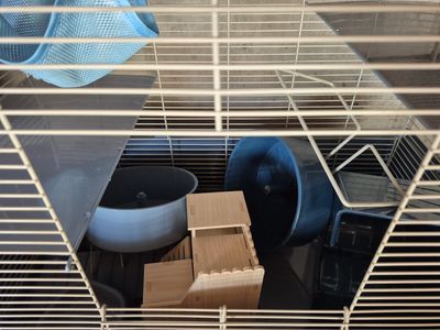 Hamster/Rat/Gerbil Cage