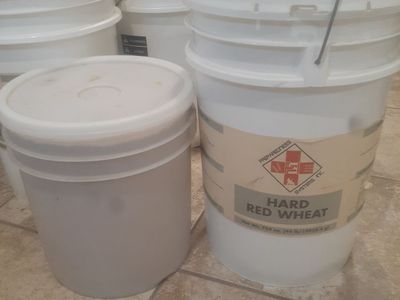 Buckets of wheat. Fifty cents a pound!