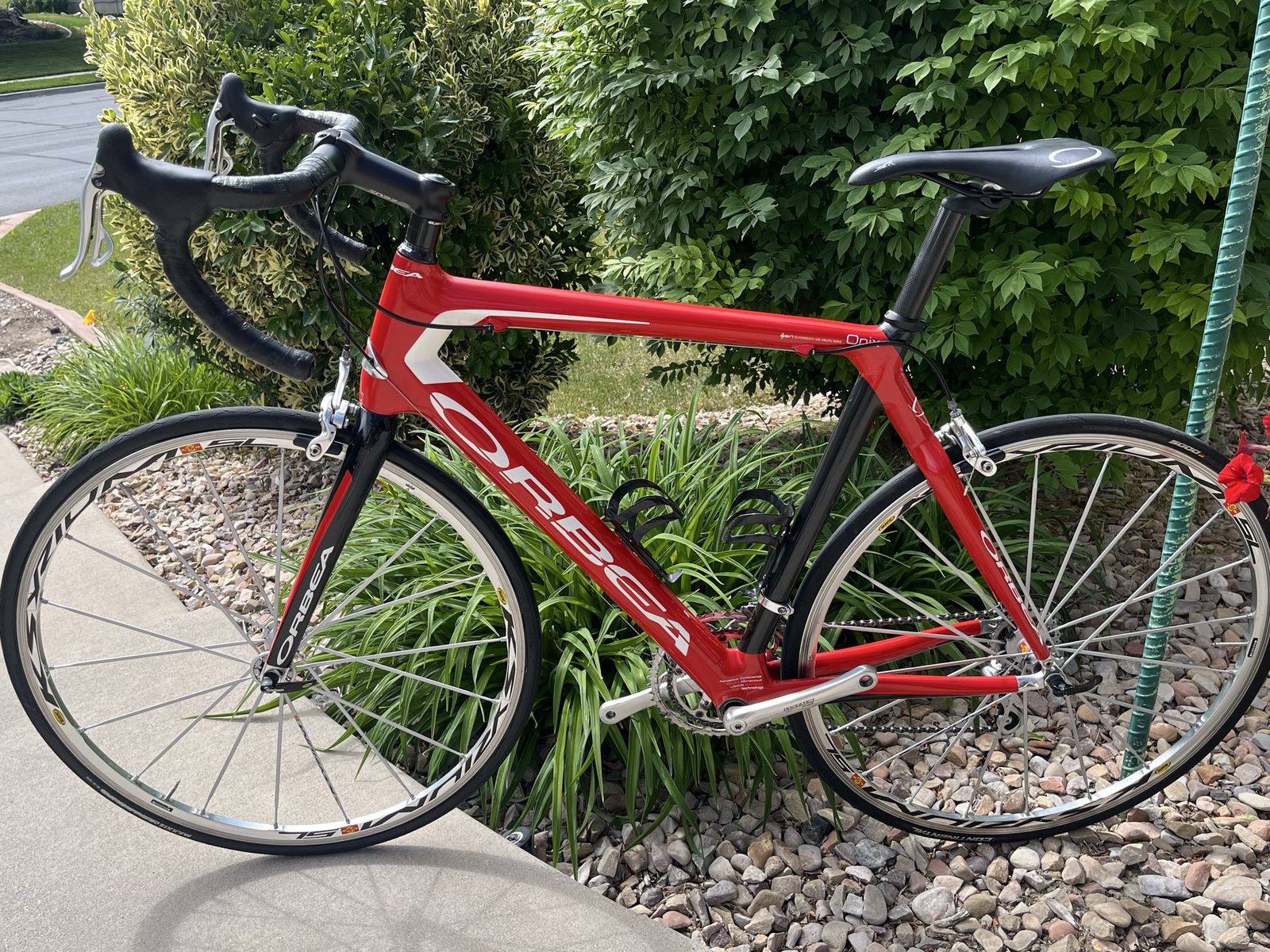 Orbea Road Bike - Red Carbon Fiber Frame, High-Performance Cycling