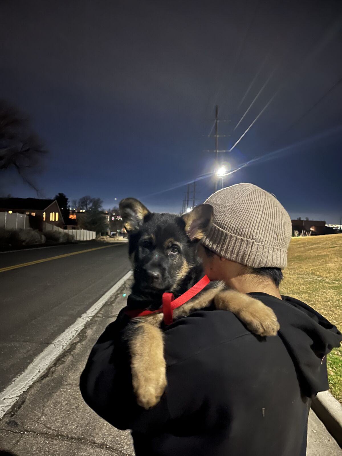 Puppy found Sugar House