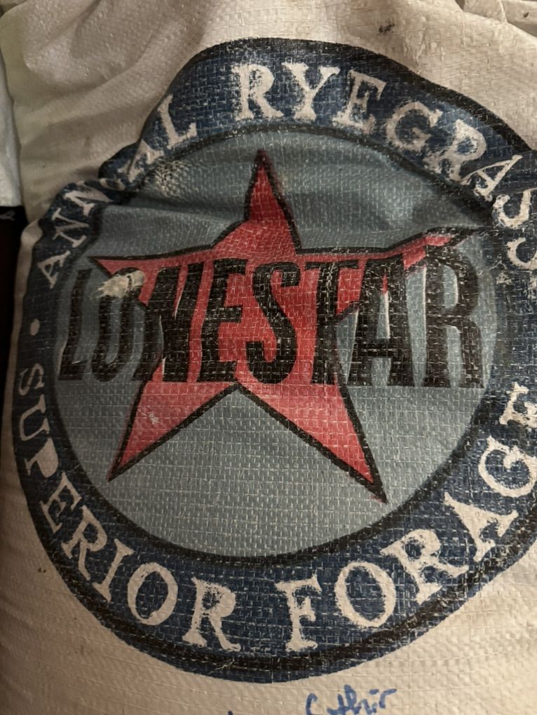 Annual Rye Grass Seed