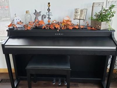 Kawai Digital Piano CN34
