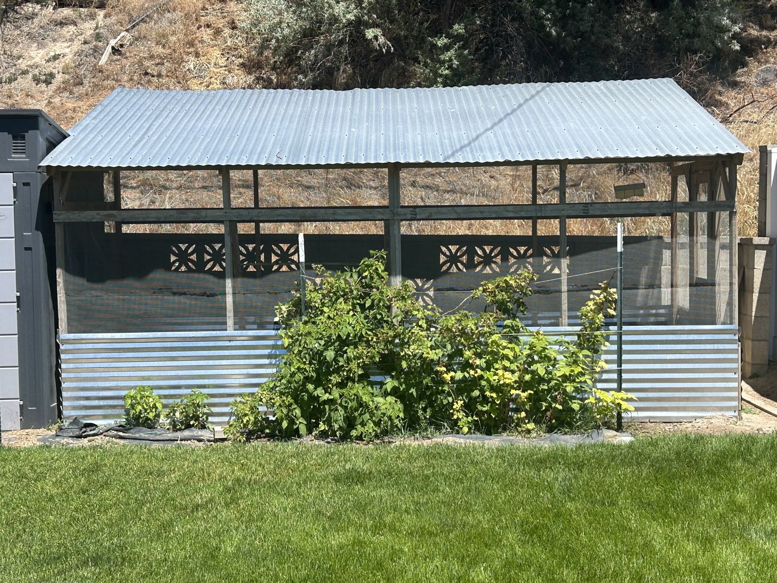 Custom Built Large Chicken Run