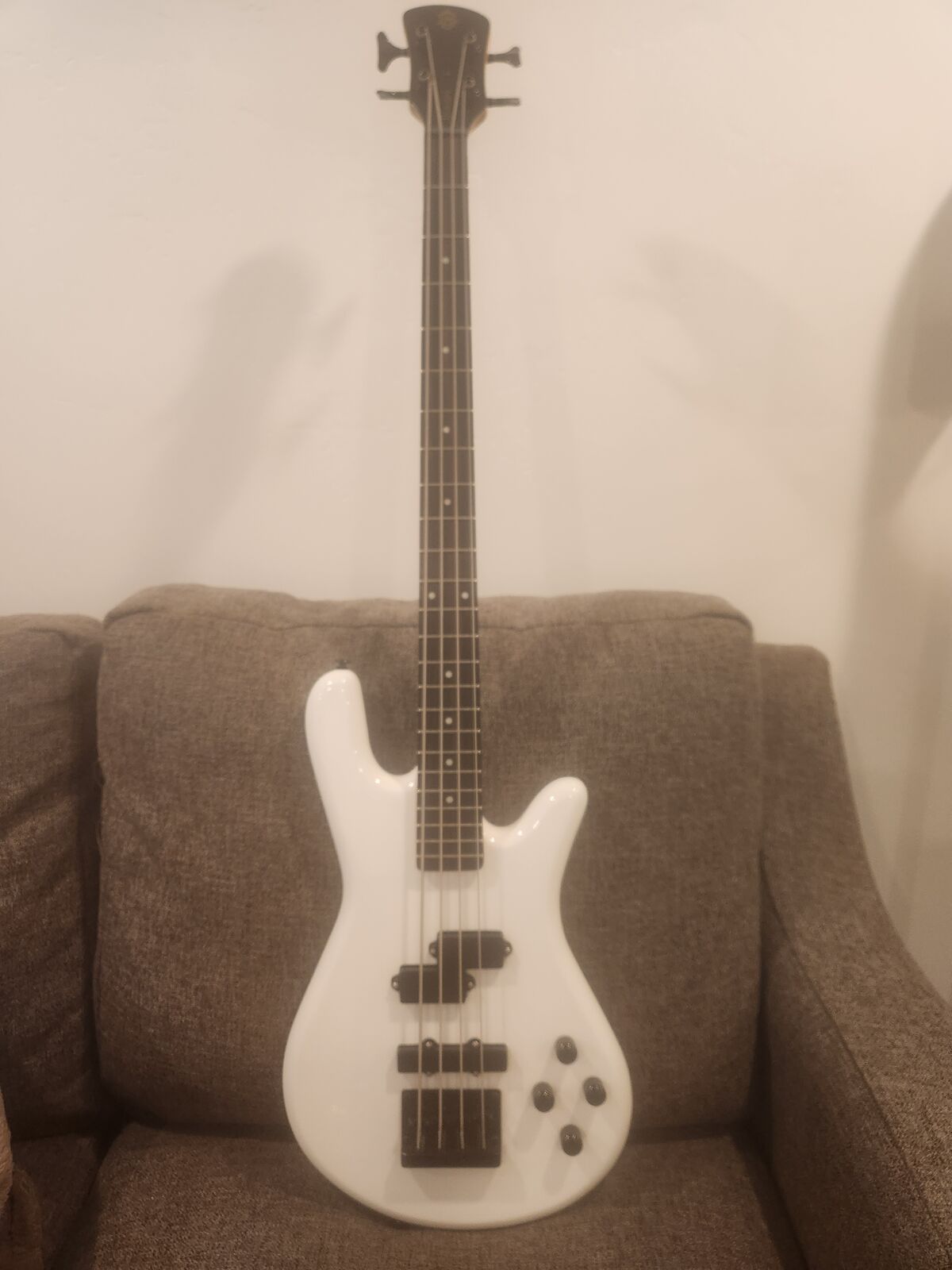 Spector Performer 4-string