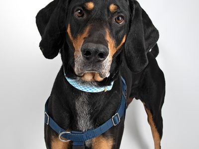 Hello my name is Jack