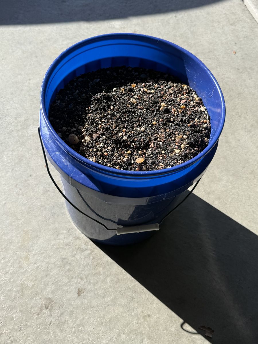 AQUARIUM SAND SUBSTRATE