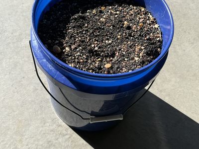 AQUARIUM SAND SUBSTRATE