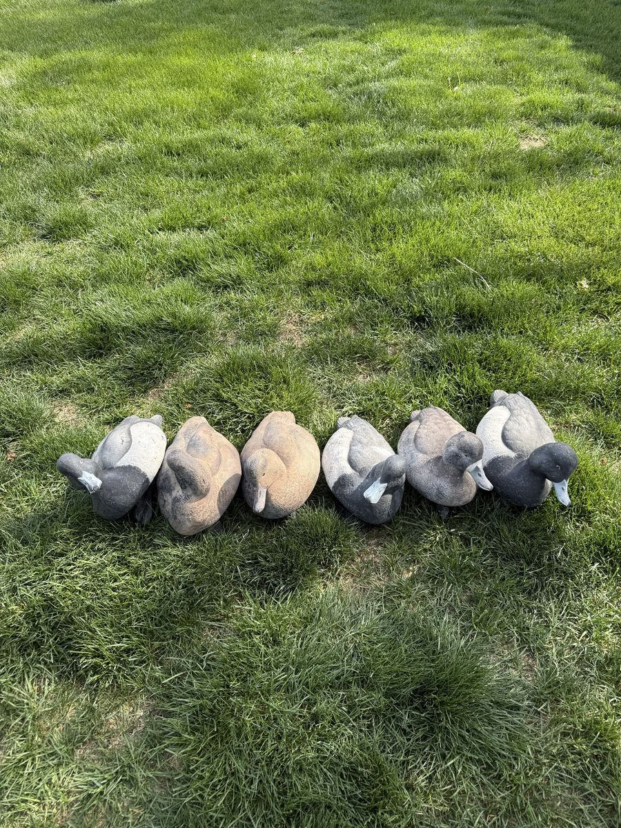 Avian X Scaup Decoys