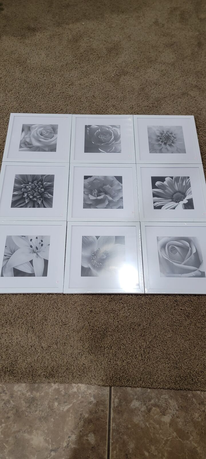 9 12" x 12" Picture Frames