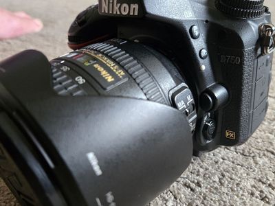 Nikon D750 FX with Nikkor 24-85mm telephoto lens