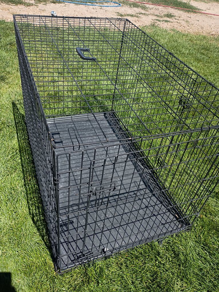 XL Kennel 