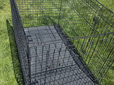 XL Kennel