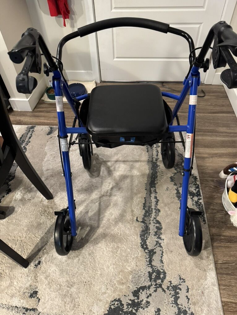 Medline Guardian Blue Walker