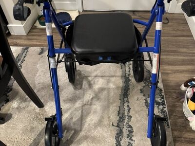 Medline Guardian Blue Walker