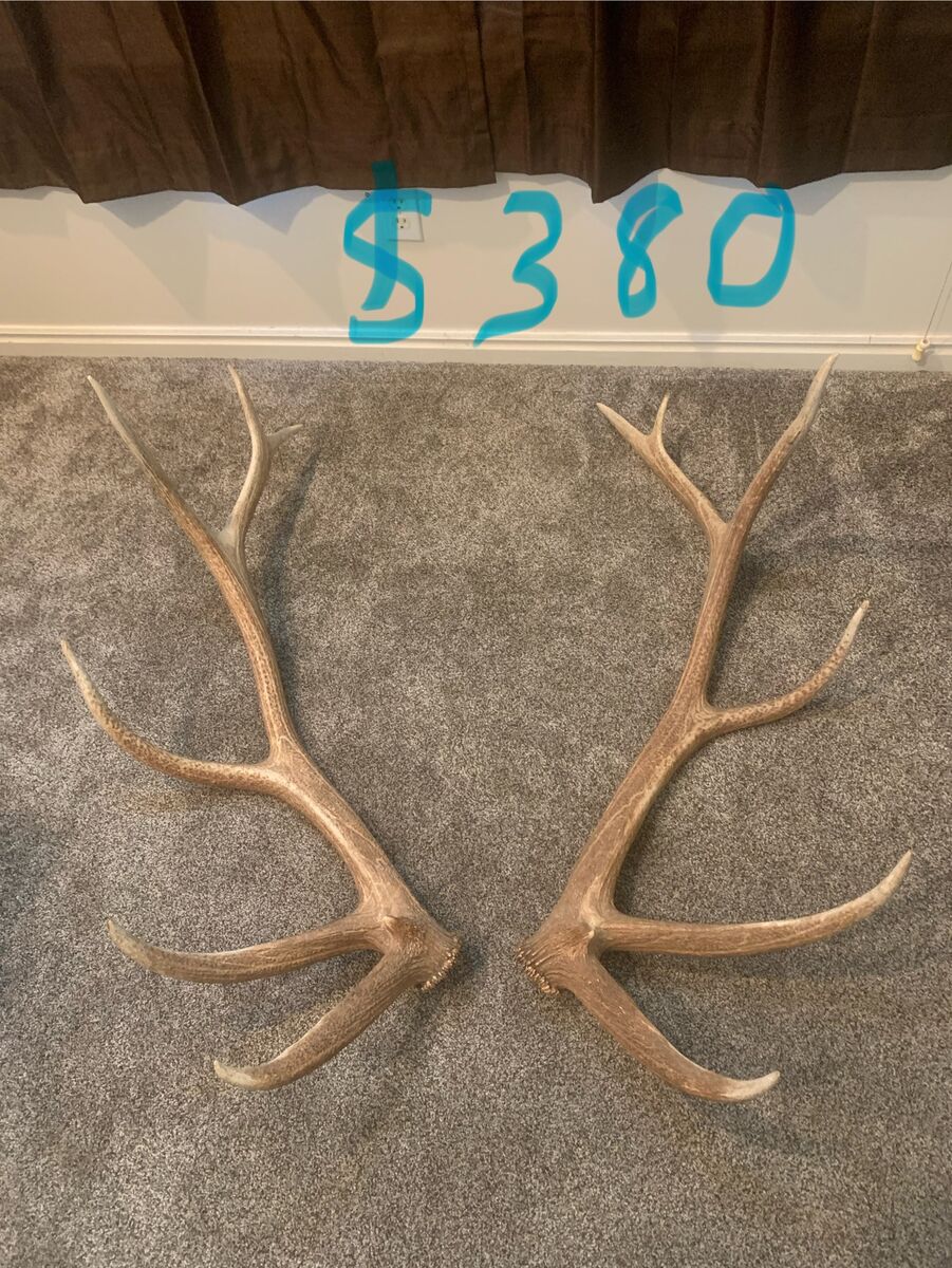 Elk Sheds
