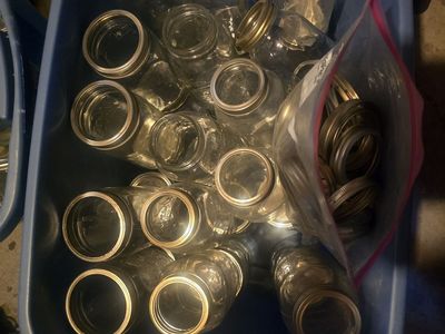 Mason / Kerr Canning jars most with rings some new lids