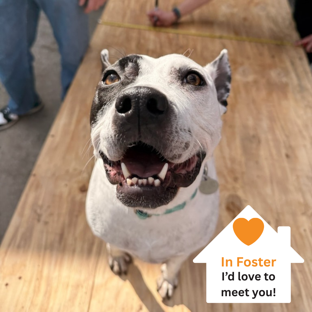 Hello my name is Bree