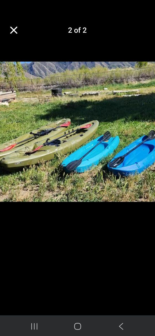 kayaks