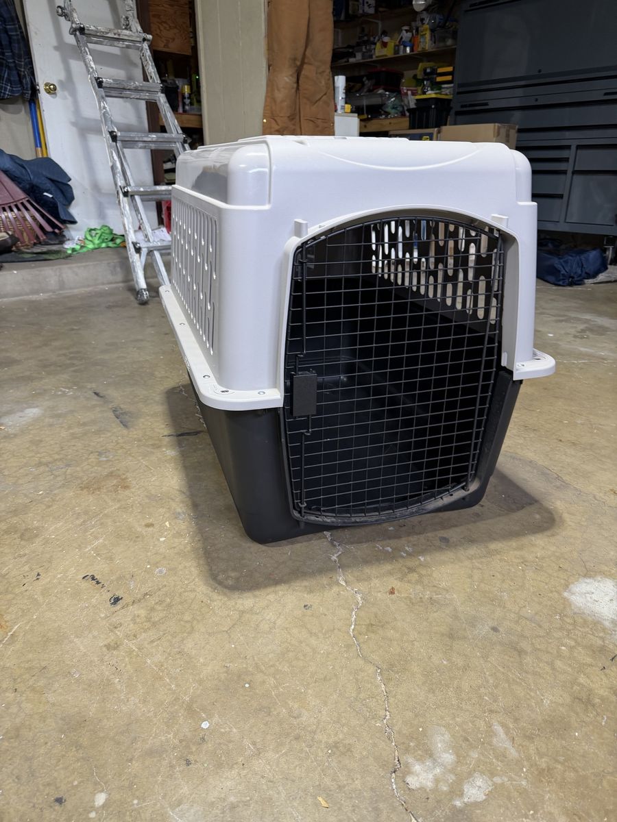 Large Dog Kennel